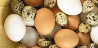 Jak gotować i piec bez użycia jajek?
